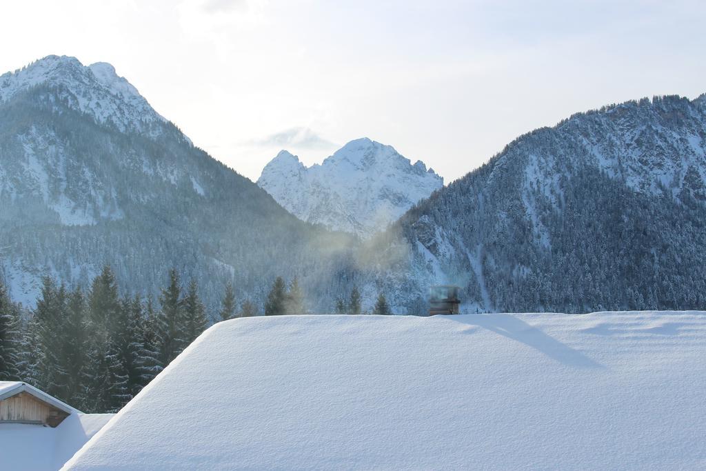 Alpenmotel Sauling Пинсванг Экстерьер фото